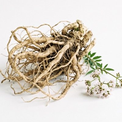 Valerian root